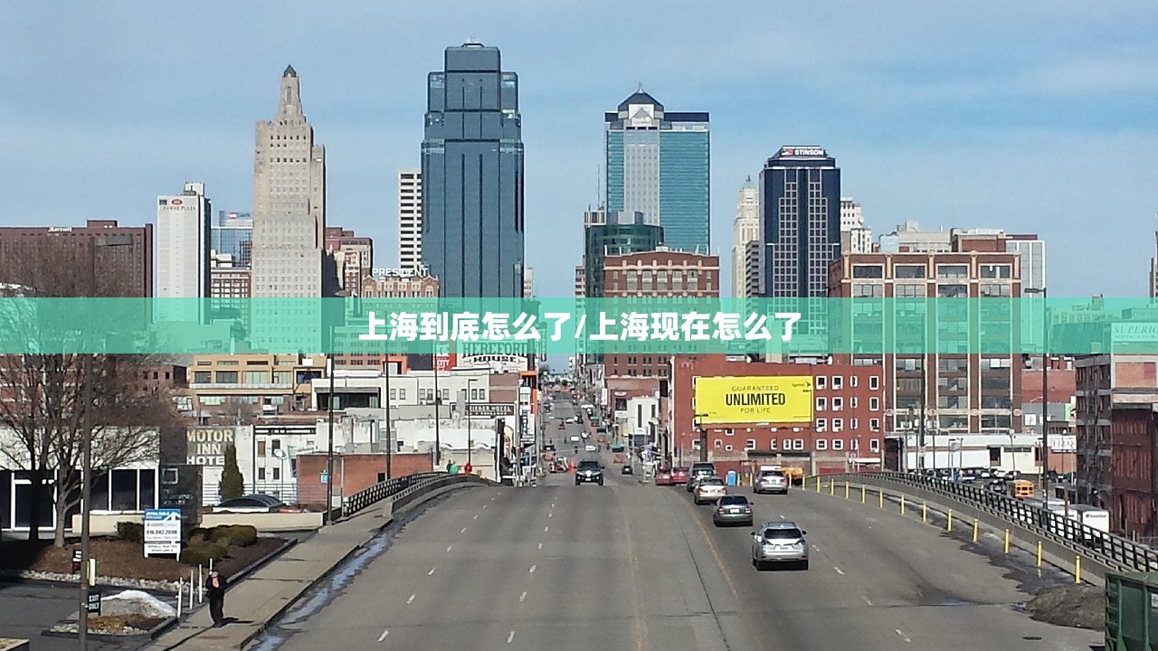 上海到底怎么了/上海现在怎么了