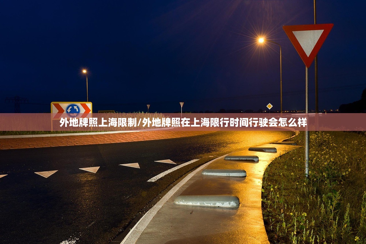 外地牌照上海限制/外地牌照在上海限行时间行驶会怎么样