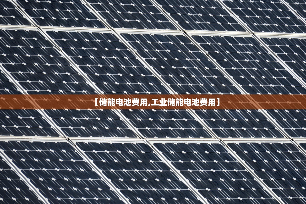 上海到底怎么了/上海现在怎么了