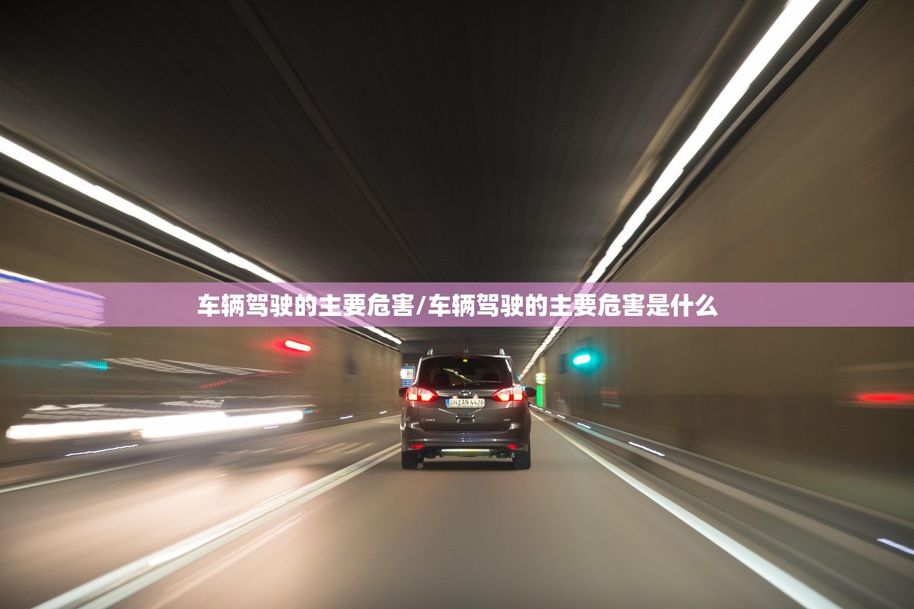 车辆驾驶的主要危害/车辆驾驶的主要危害是什么