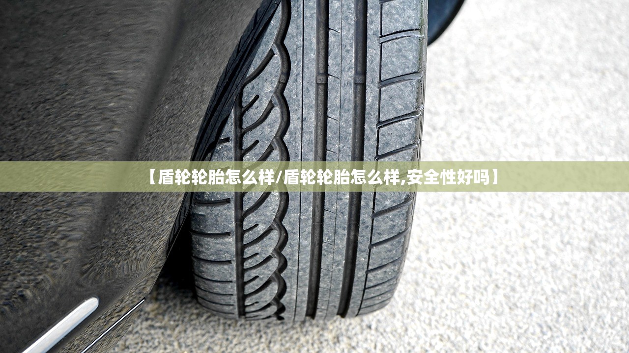 【盾轮轮胎怎么样/盾轮轮胎怎么样,安全性好吗】