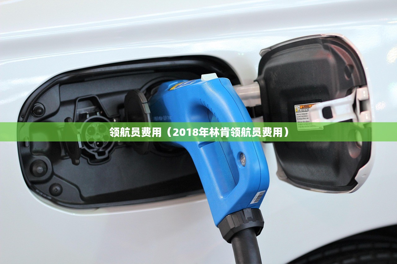 领航员费用（2018年林肯领航员费用）