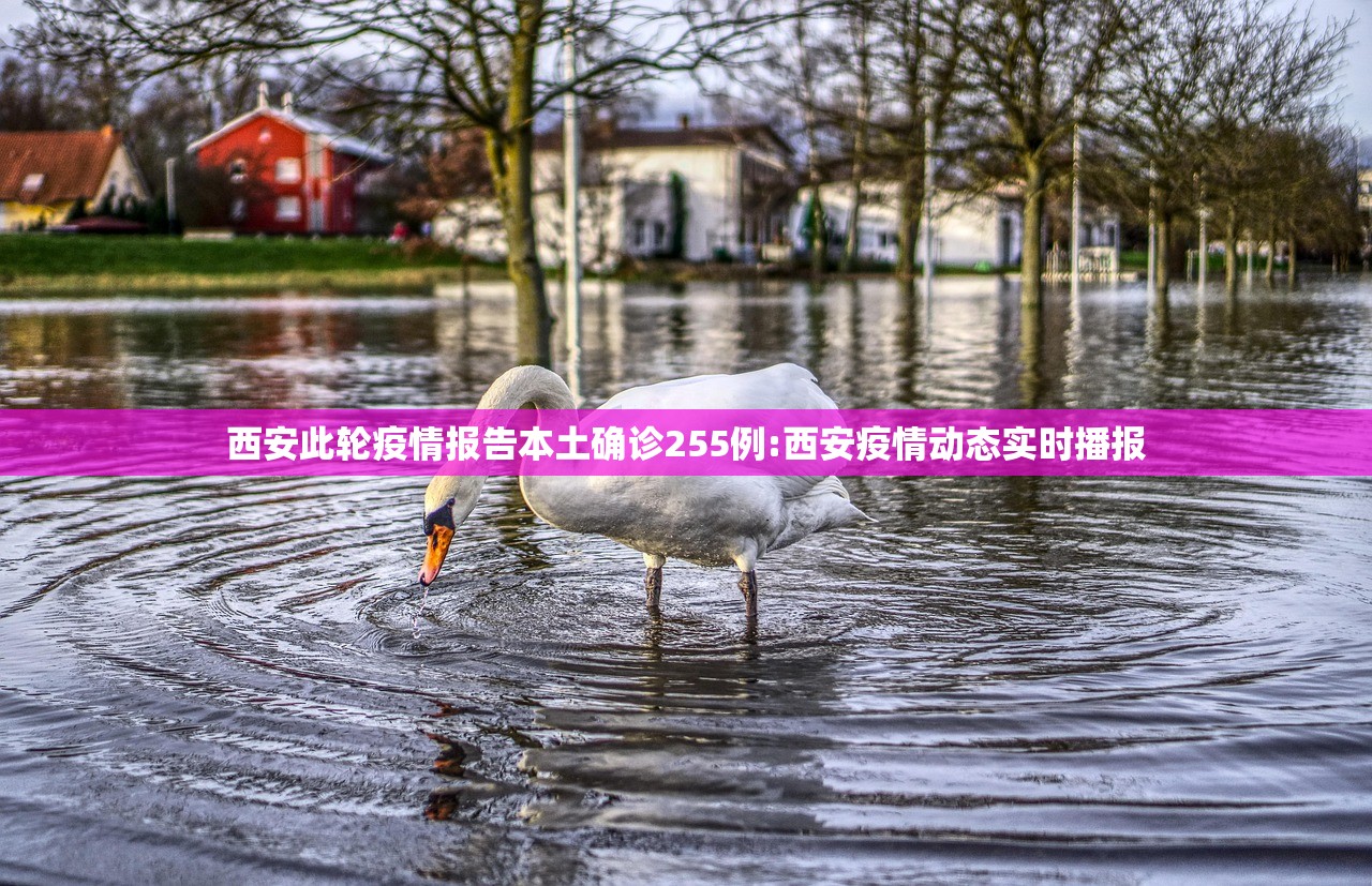 西安此轮疫情报告本土确诊255例:西安疫情动态实时播报 西安此轮疫情报告本土确诊255例:西安疫情动态实时播报