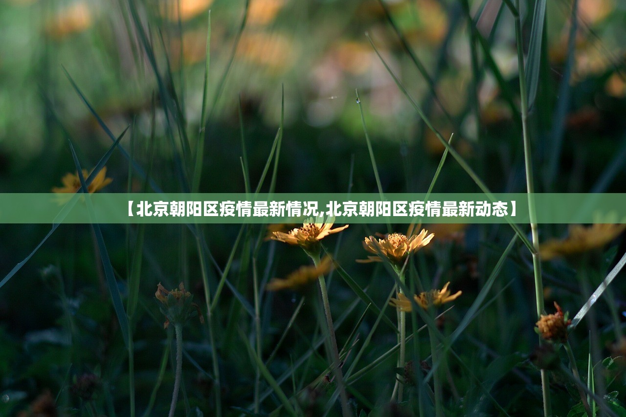 【北京朝阳区疫情最新情况,北京朝阳区疫情最新动态】