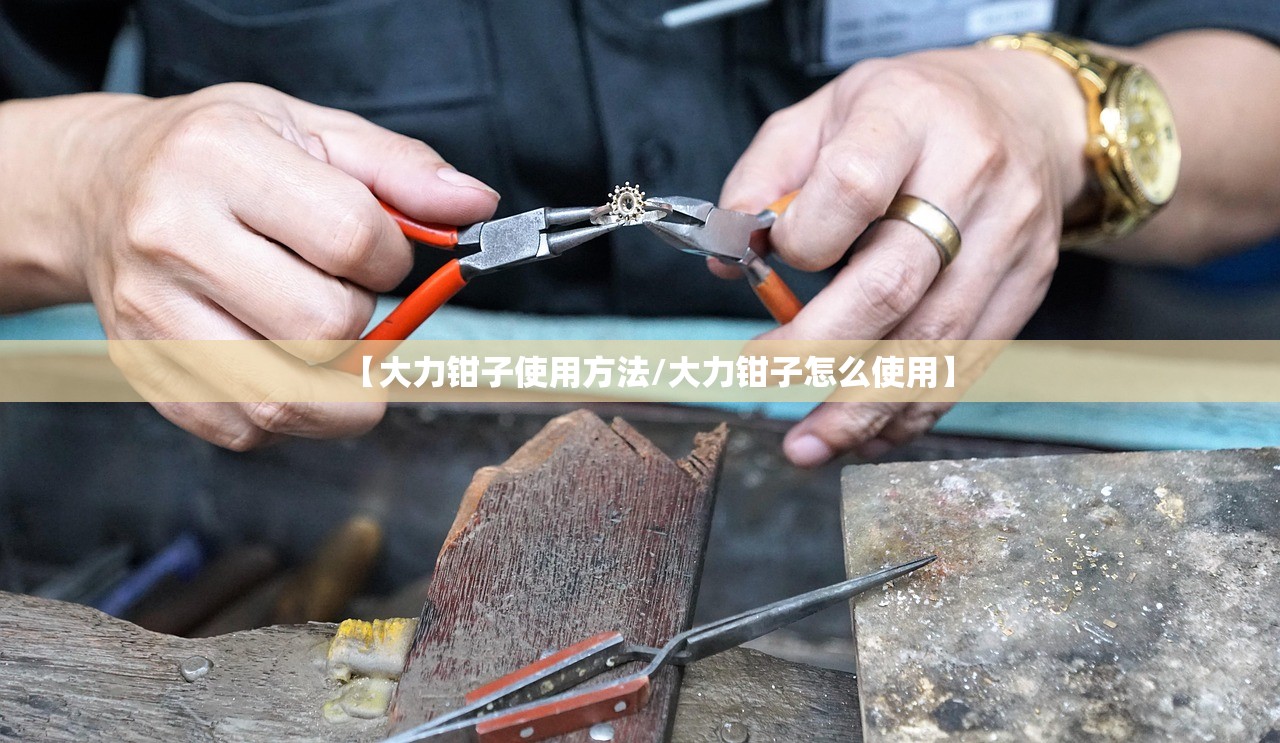 【大力钳子使用方法/大力钳子怎么使用】