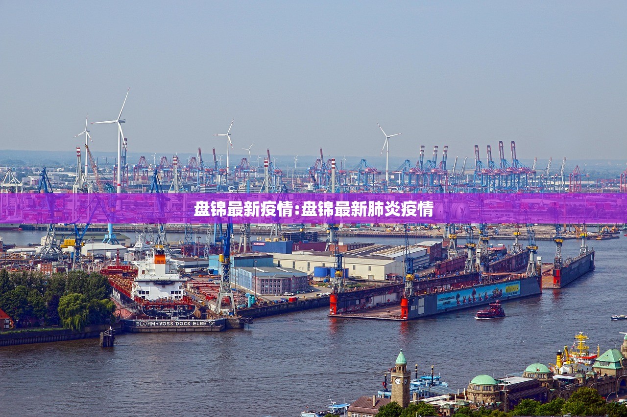 盘锦最新疫情:盘锦最新肺炎疫情