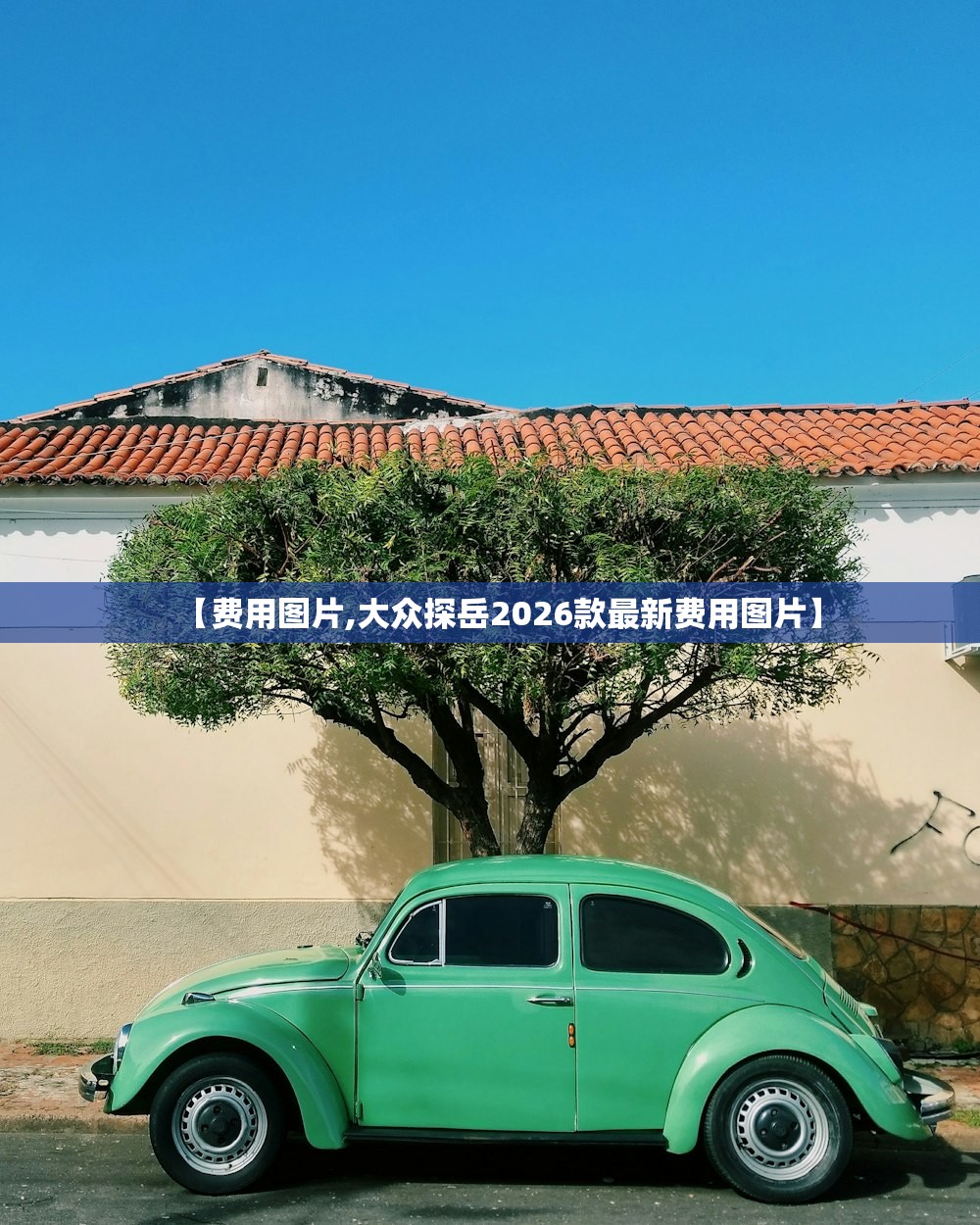 【费用图片,大众探岳2026款最新费用图片】