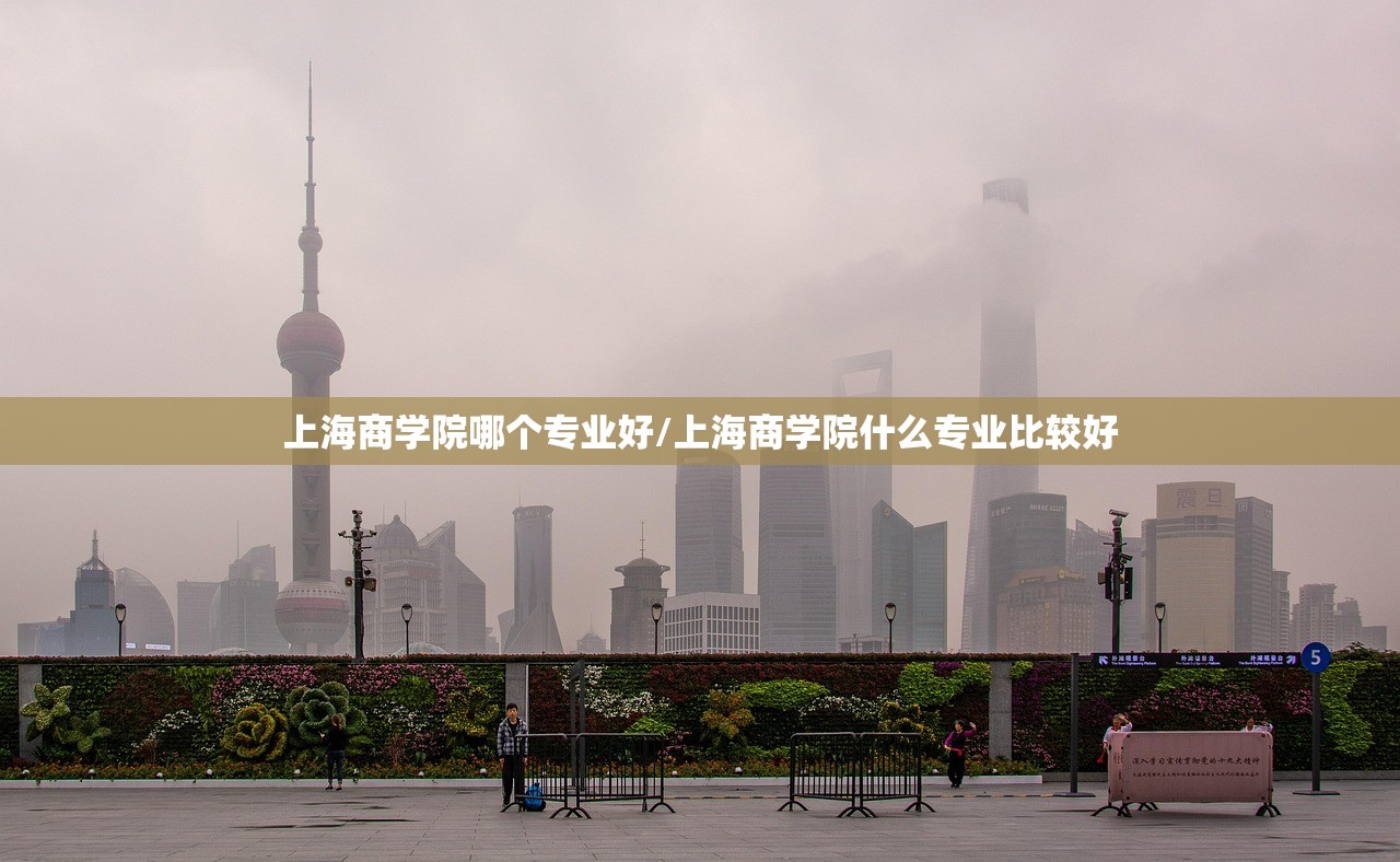 上海商学院哪个专业好/上海商学院什么专业比较好