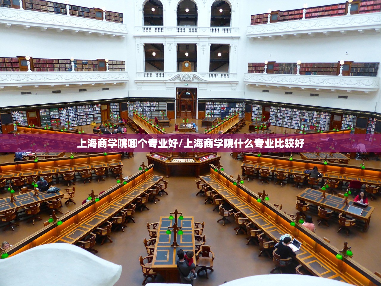 上海商学院哪个专业好/上海商学院什么专业比较好