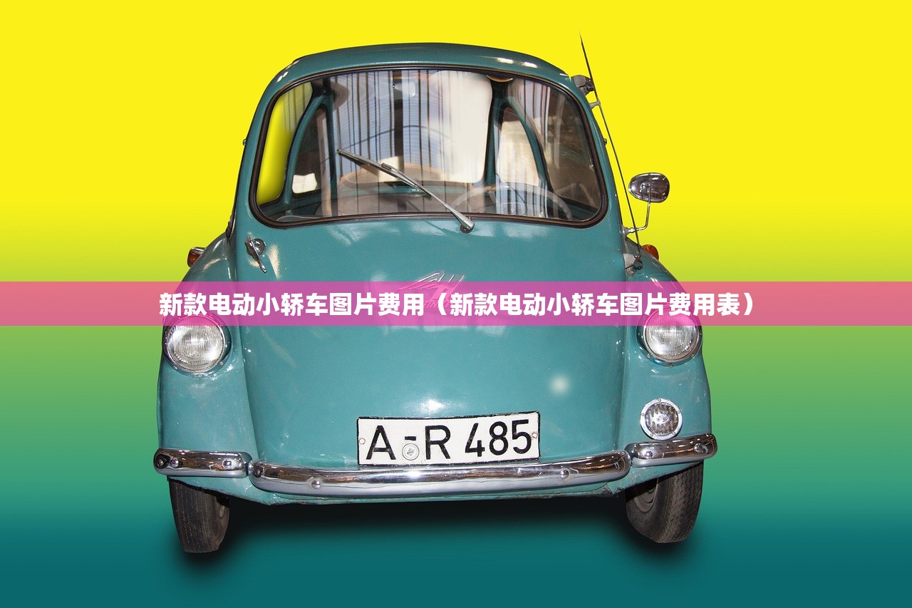 新款电动小轿车图片费用（新款电动小轿车图片费用表）