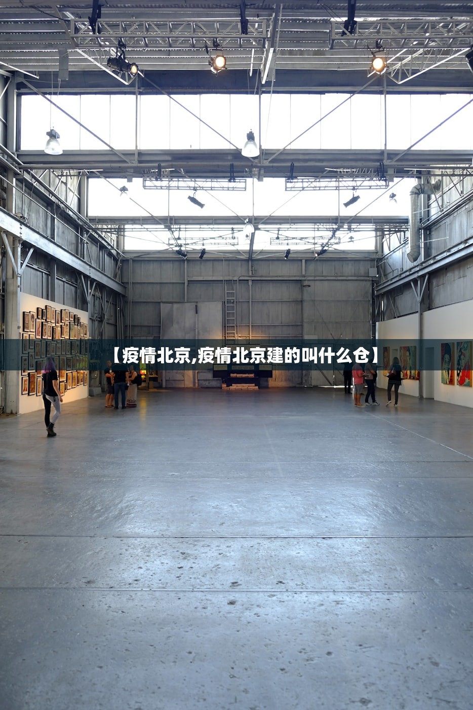 【疫情北京,疫情北京建的叫什么仓】