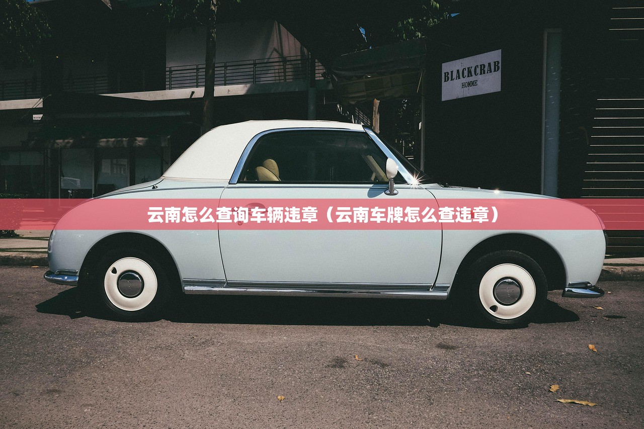 云南怎么查询车辆违章（云南车牌怎么查违章）