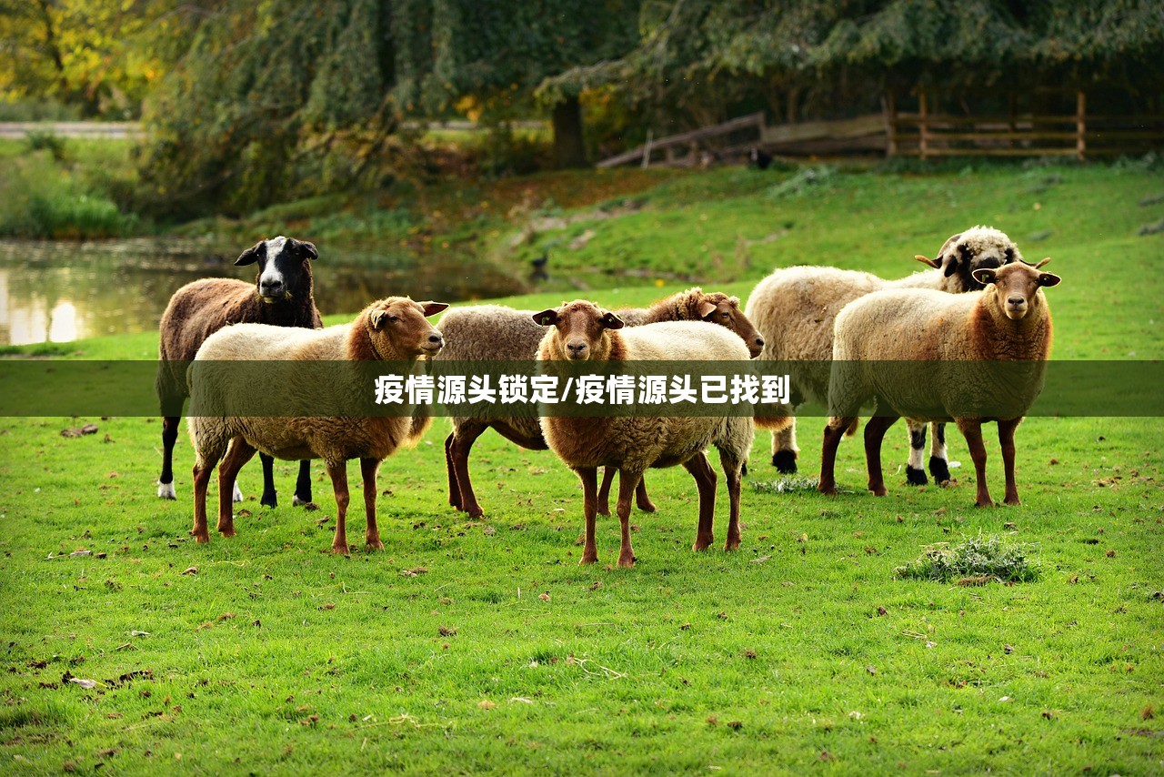 疫情源头锁定/疫情源头已找到