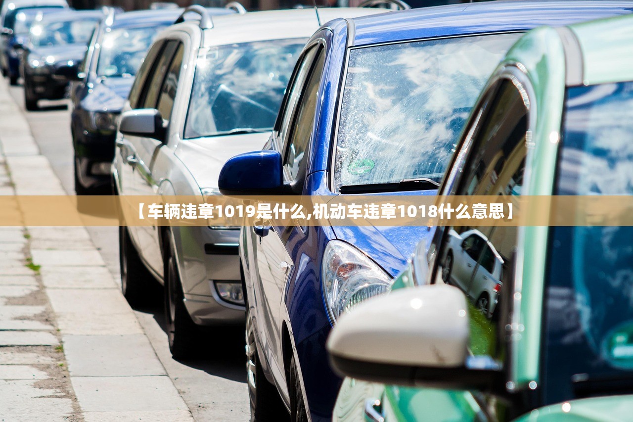 【车辆违章1019是什么,机动车违章1018什么意思】