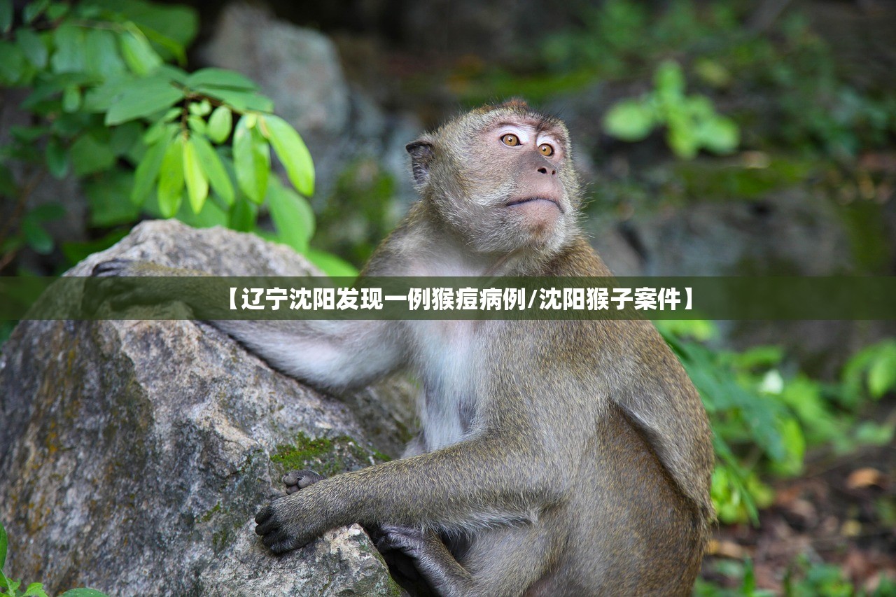 教程分享“微乐甘肃麻将有没有挂”开挂(透视)最新辅助详细