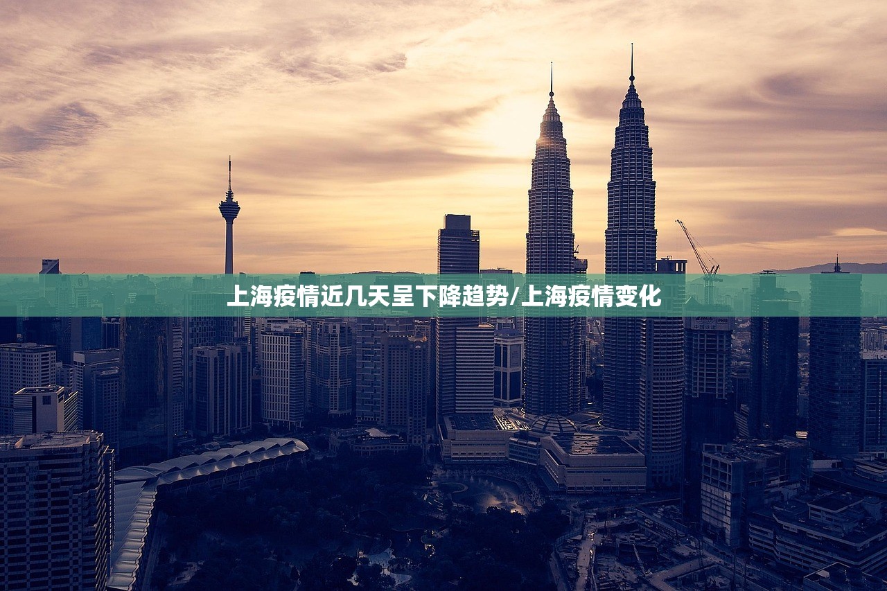 上海疫情近几天呈下降趋势/上海疫情变化