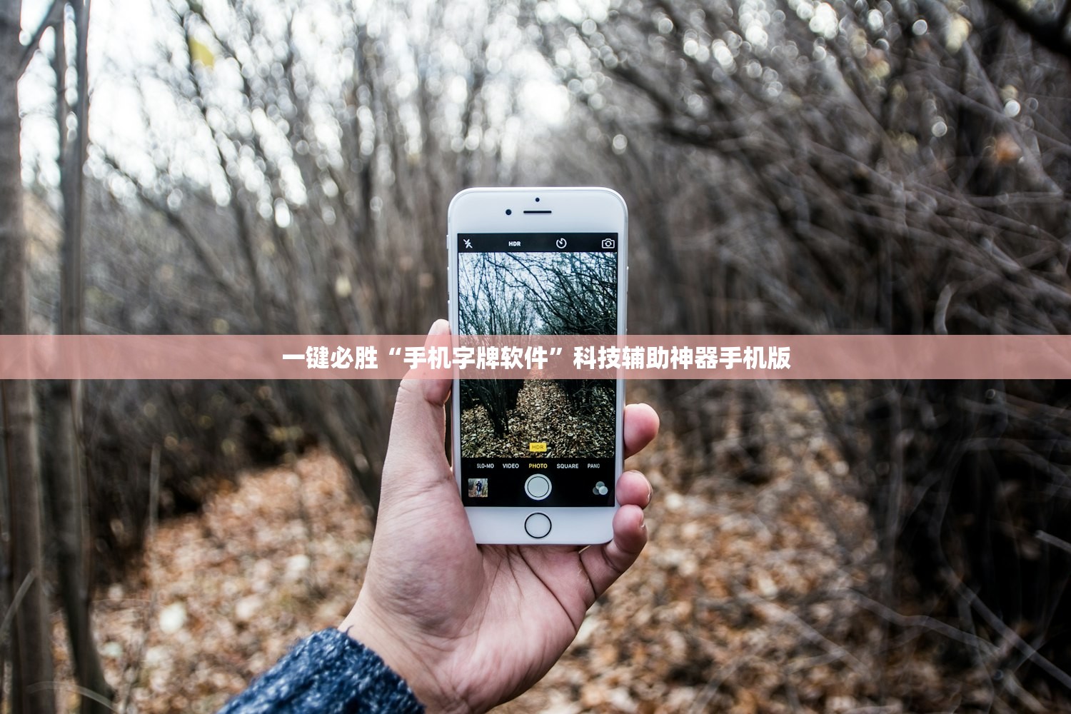 新疆增1本土确诊:此前感染者丈夫/新疆感染病例