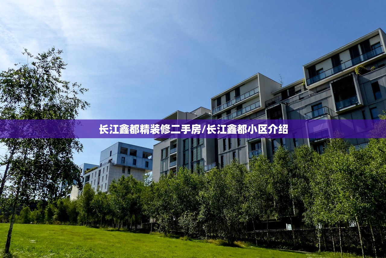 长江鑫都精装修二手房/长江鑫都小区介绍
