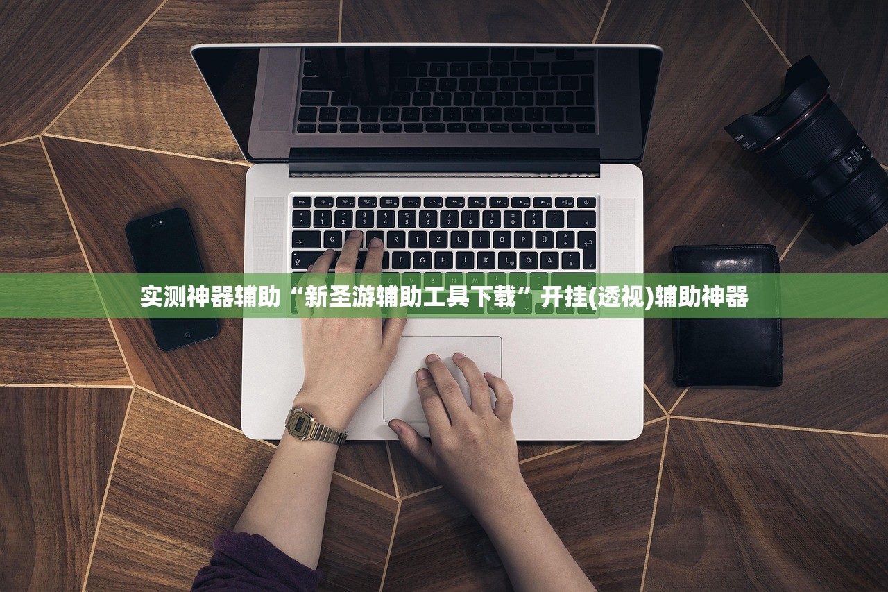 实测神器辅助“新圣游辅助工具下载”开挂(透视)辅助神器