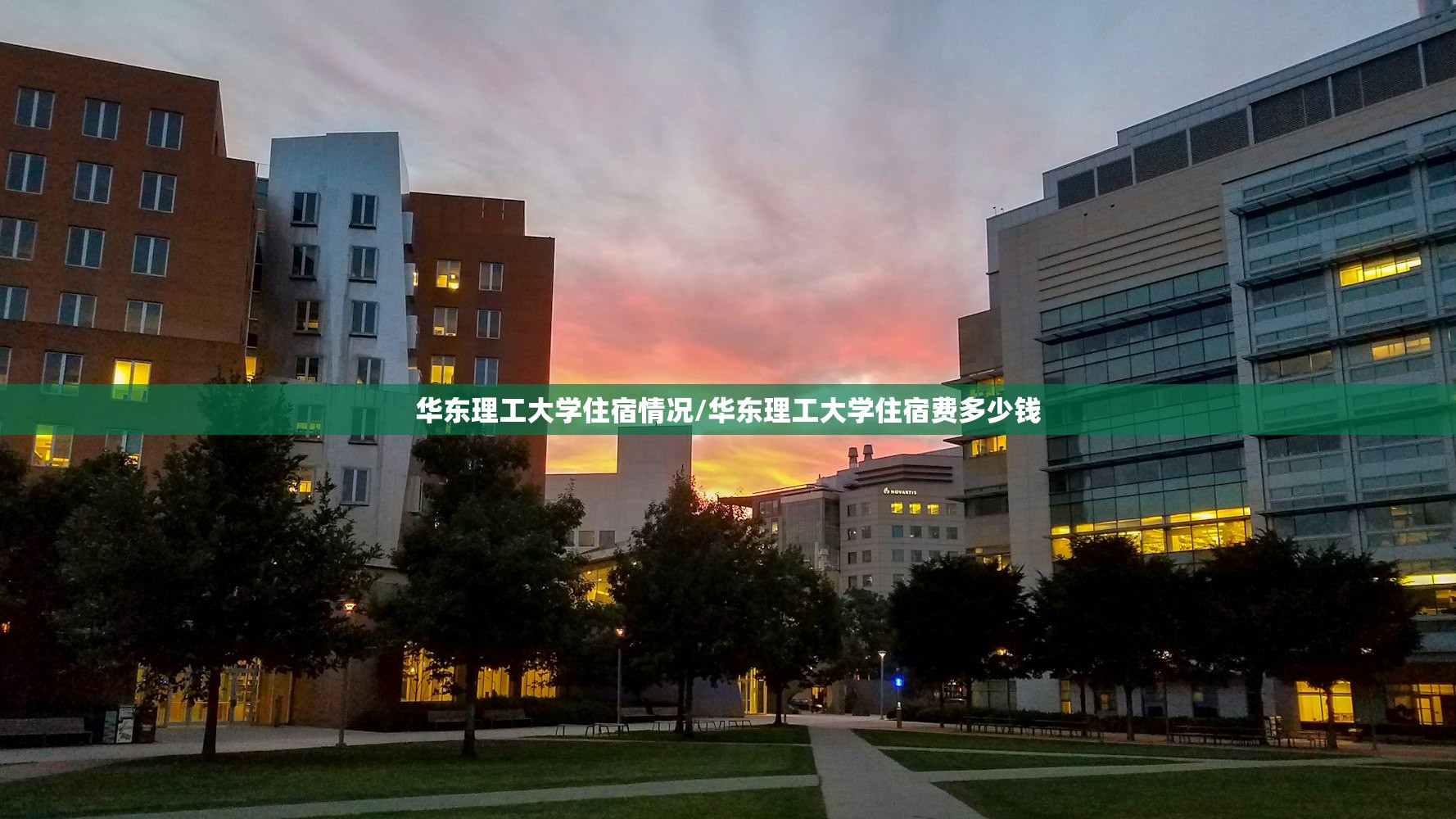天津限行（天津限行2026最新限号时间表）