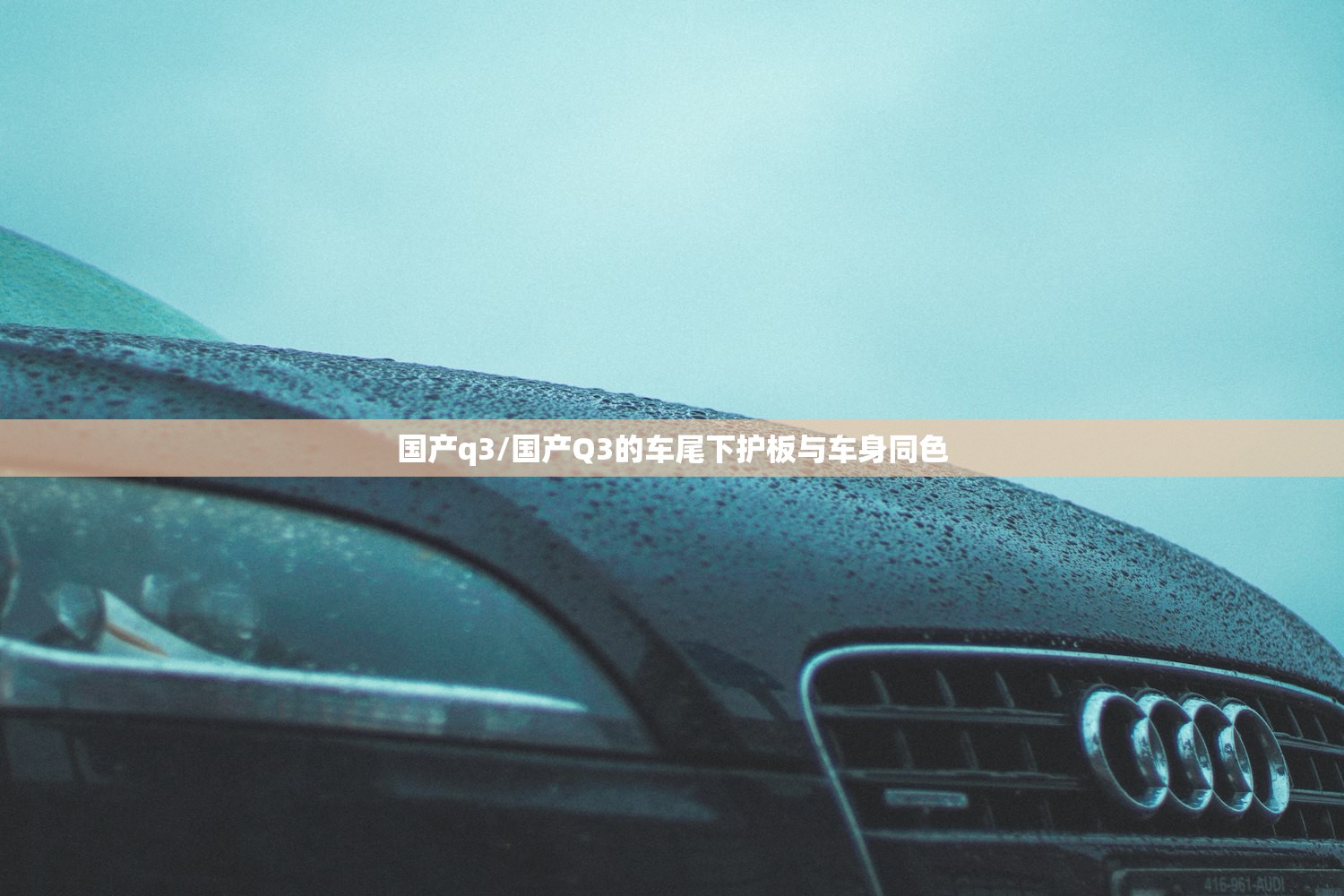 国产q3/国产Q3的车尾下护板与车身同色