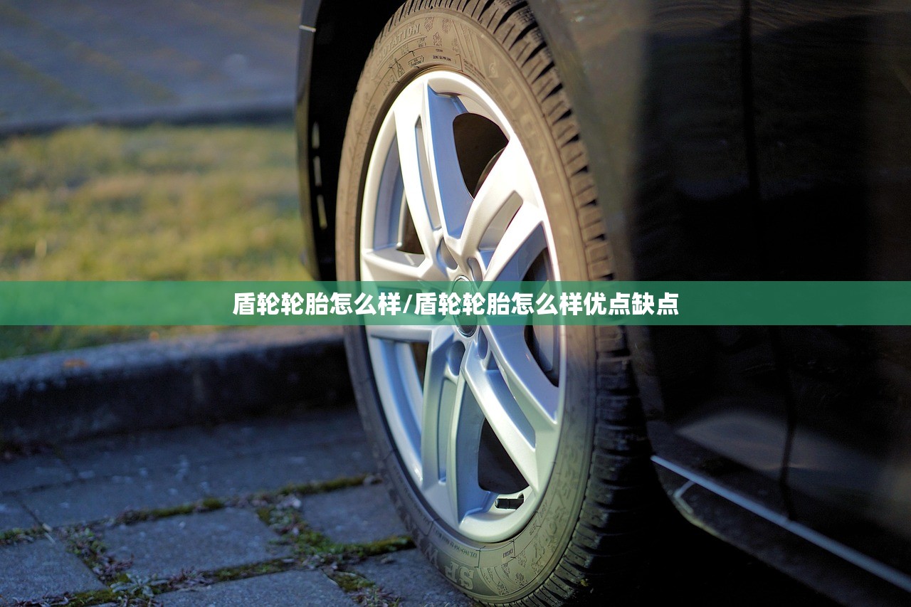 盾轮轮胎怎么样/盾轮轮胎怎么样优点缺点