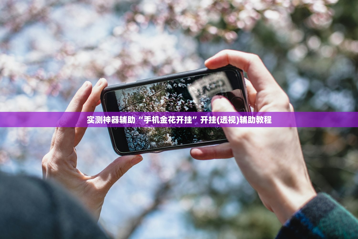 实测神器辅助“手机金花开挂”开挂(透视)辅助教程