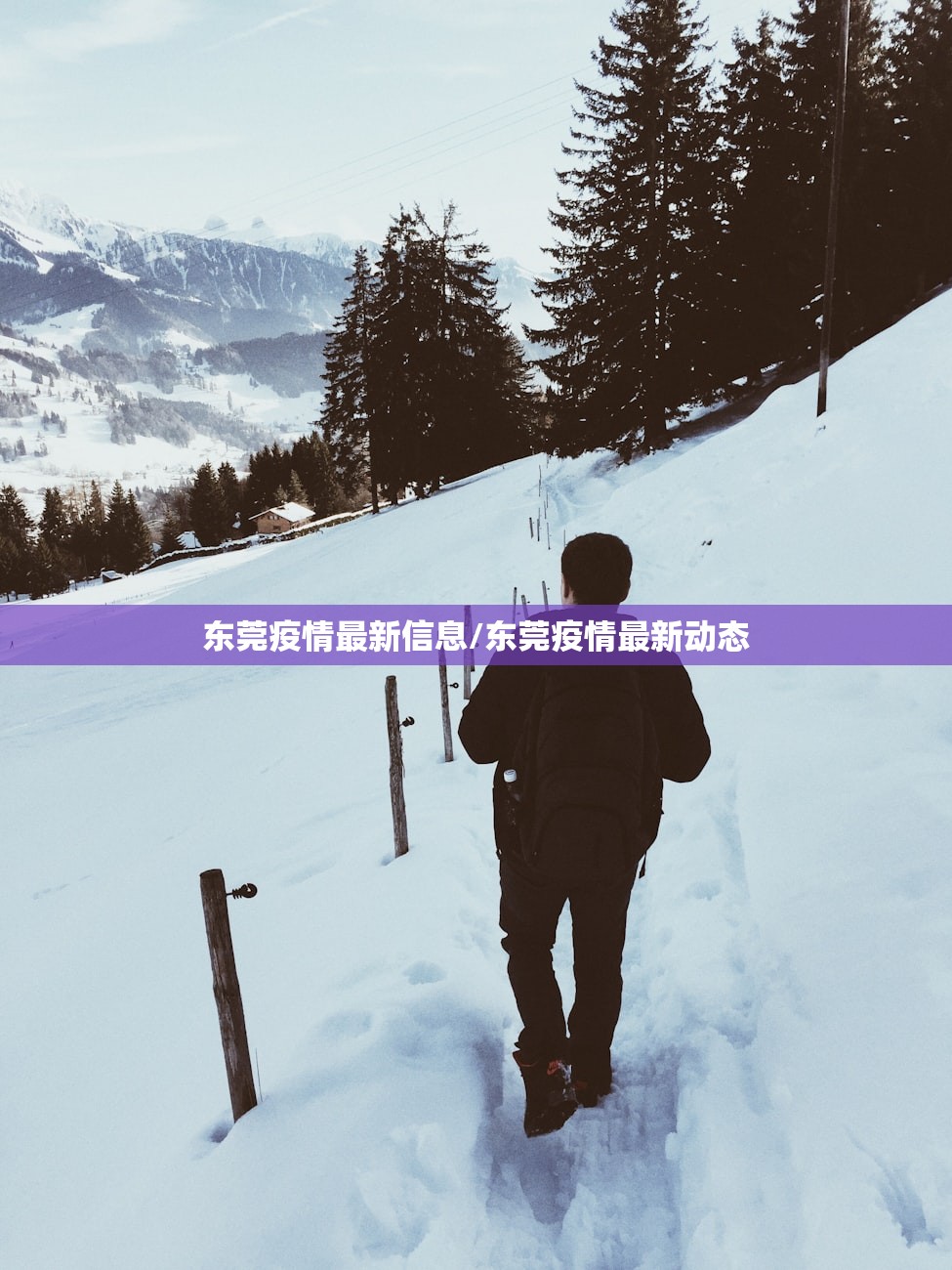 东莞疫情最新信息/东莞疫情最新动态
