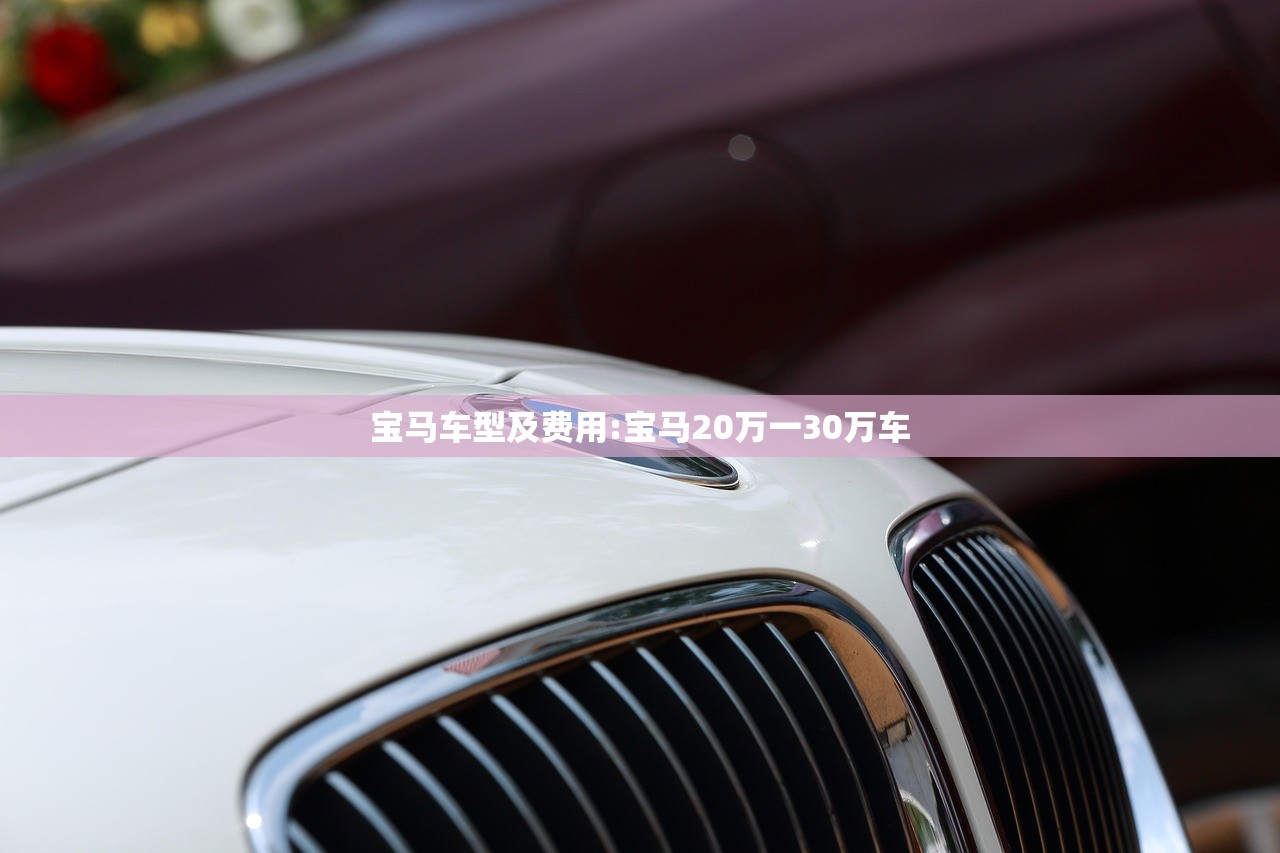 宝马车型及费用:宝马20万一30万车