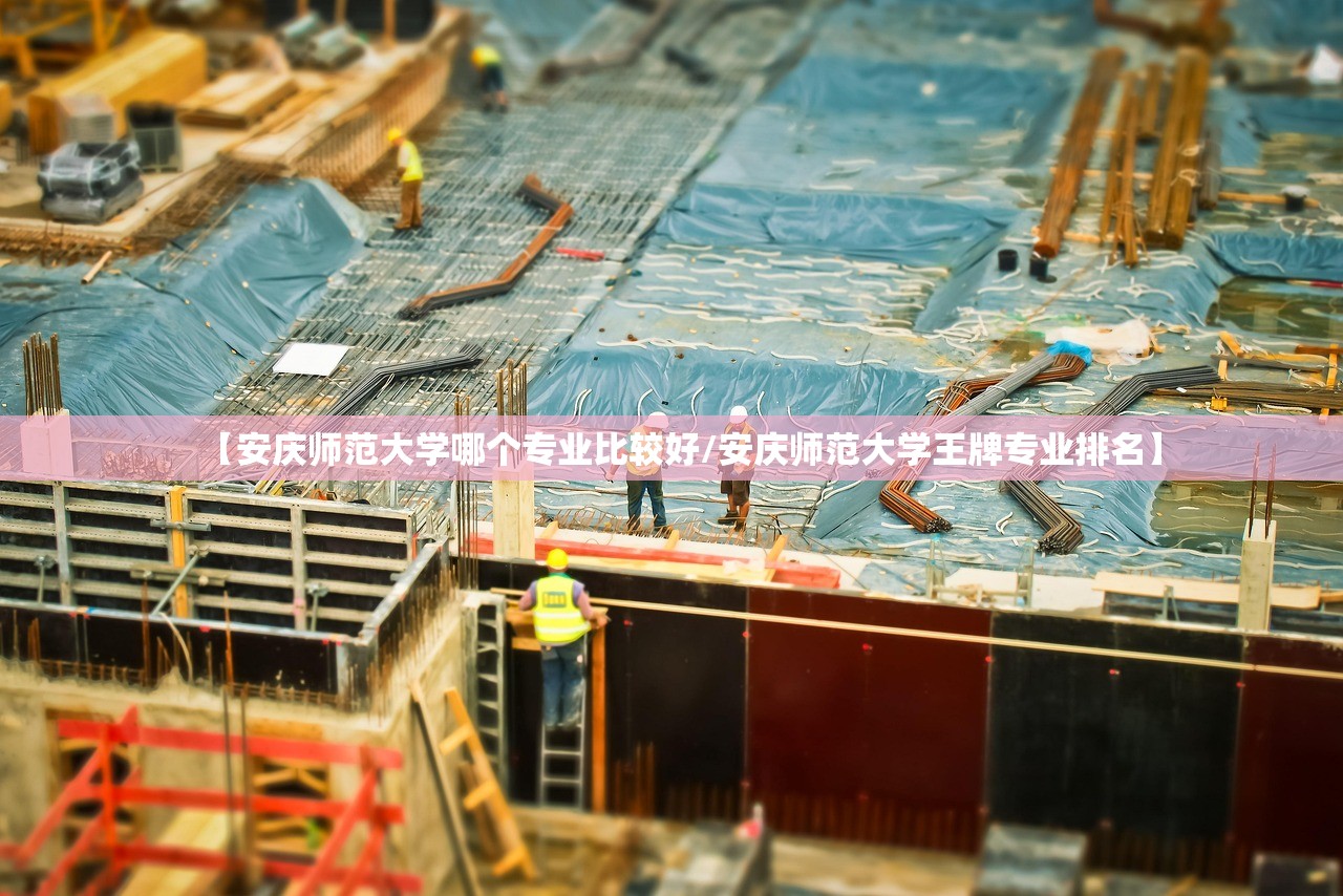 新手多久可以上高速（新手多久可以上高速的条件）