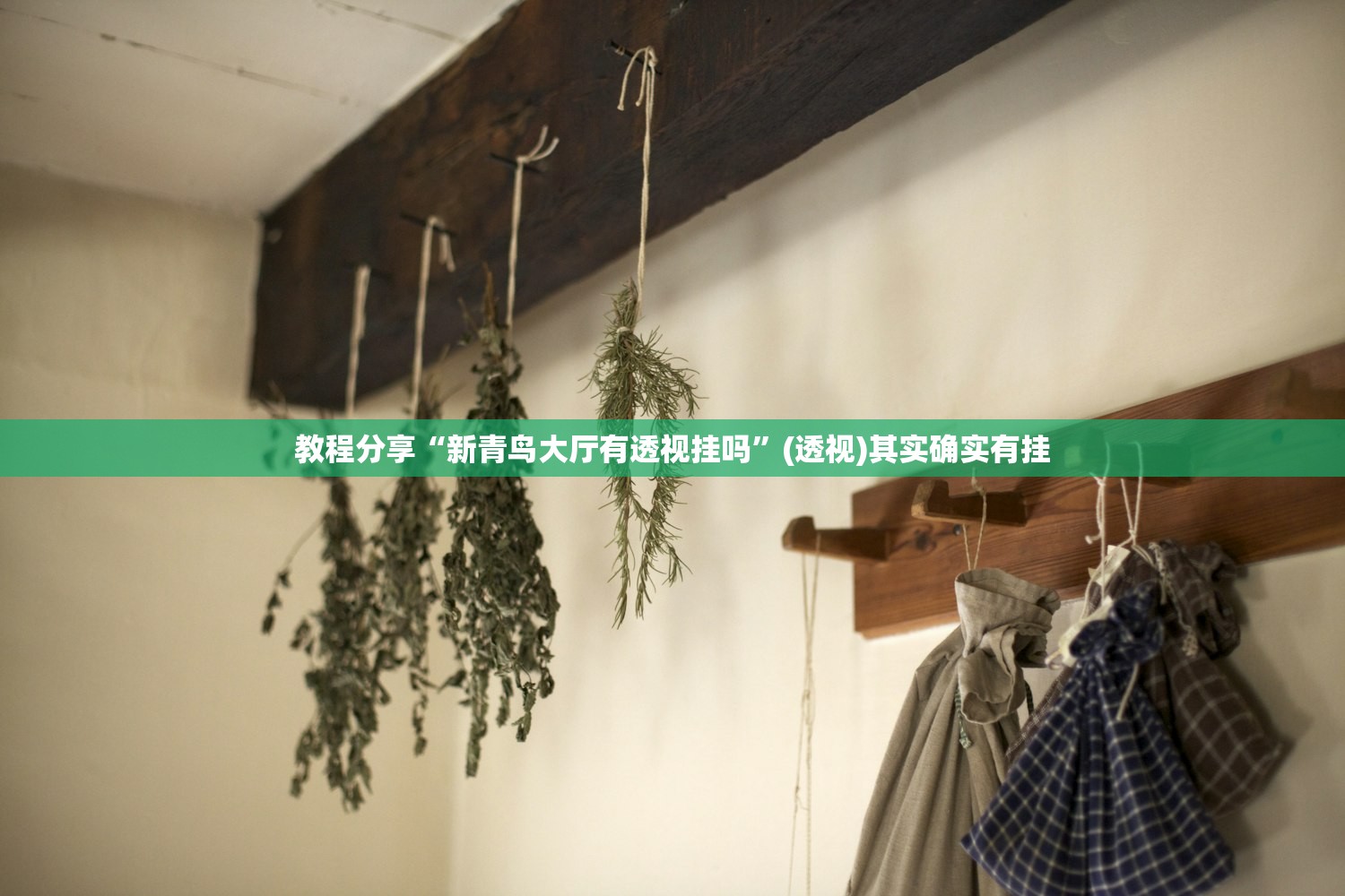 实测分享“中天游戏可以开挂吗”原来可以开挂