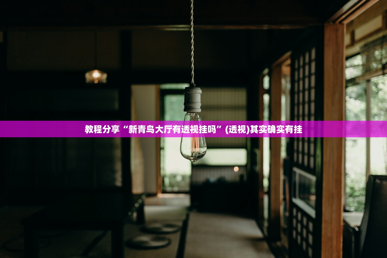 教程分享“新青鸟大厅有透视挂吗”(透视)其实确实有挂