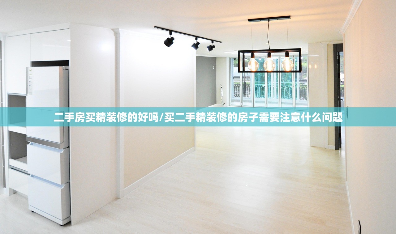 二手房买精装修的好吗/买二手精装修的房子需要注意什么问题