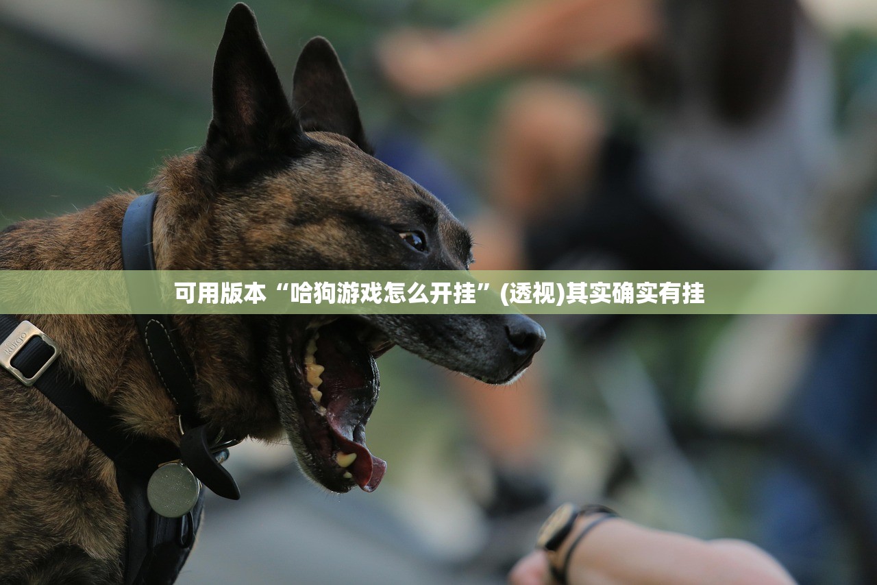 可用版本“哈狗游戏怎么开挂”(透视)其实确实有挂