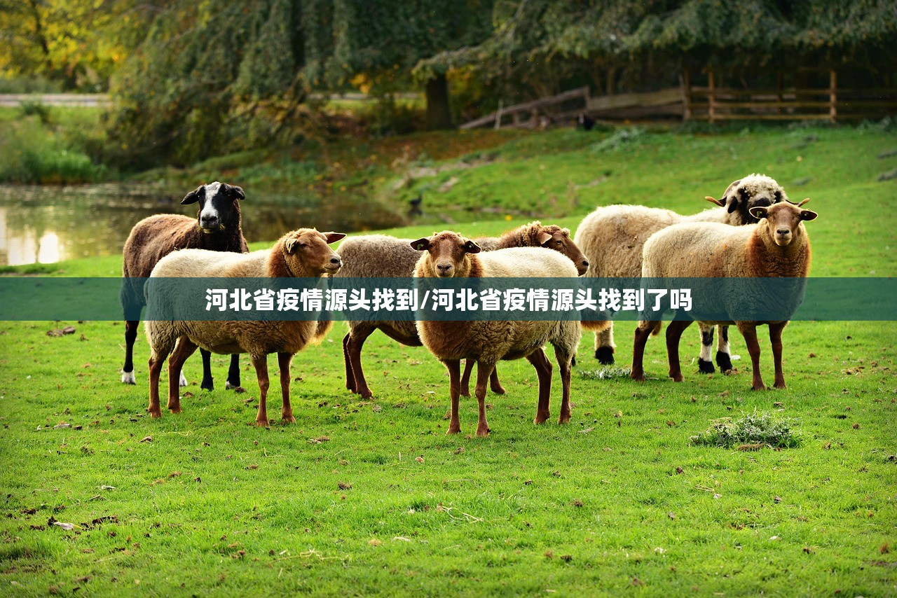 河北省疫情源头找到/河北省疫情源头找到了吗