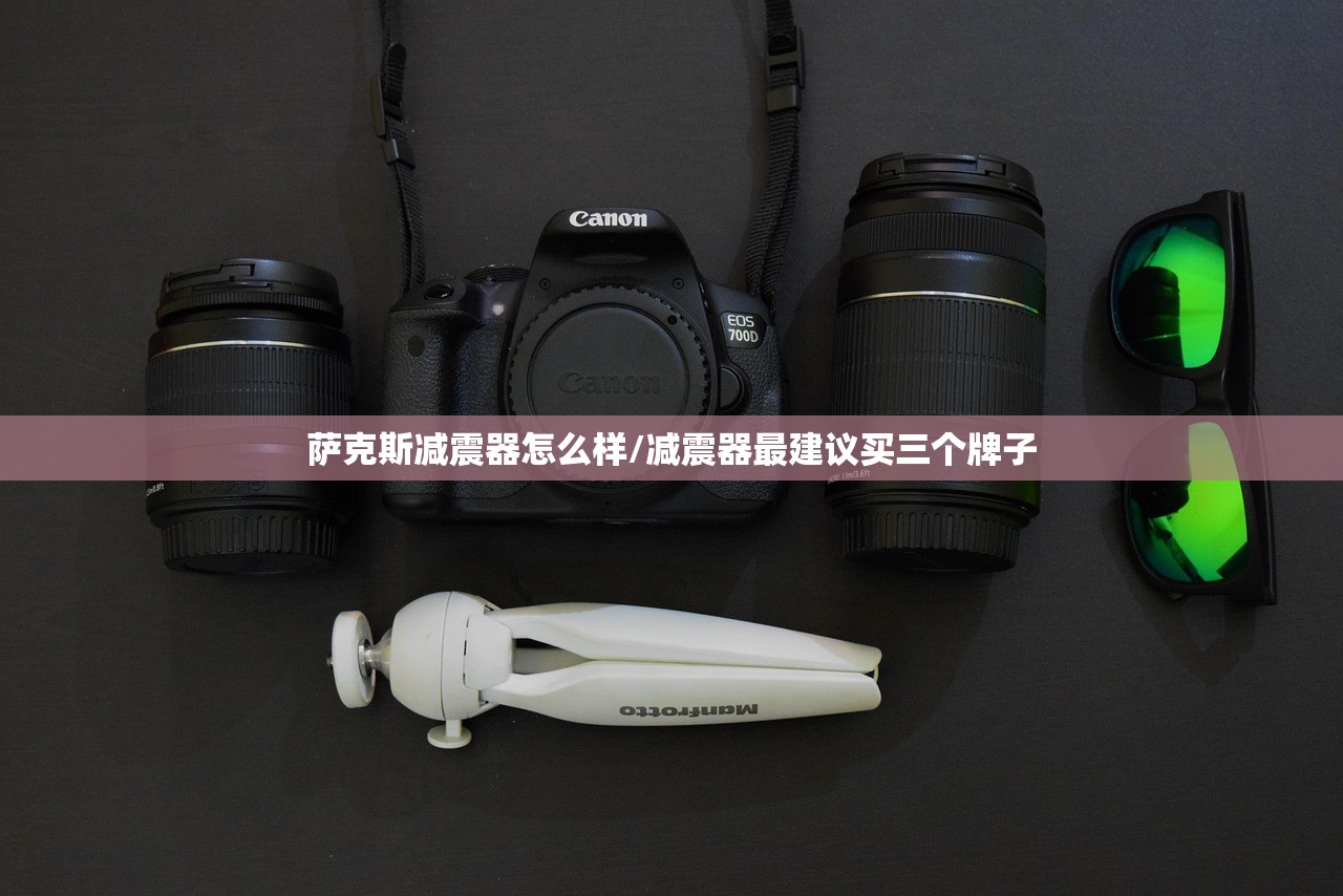 萨克斯减震器怎么样/减震器最建议买三个牌子