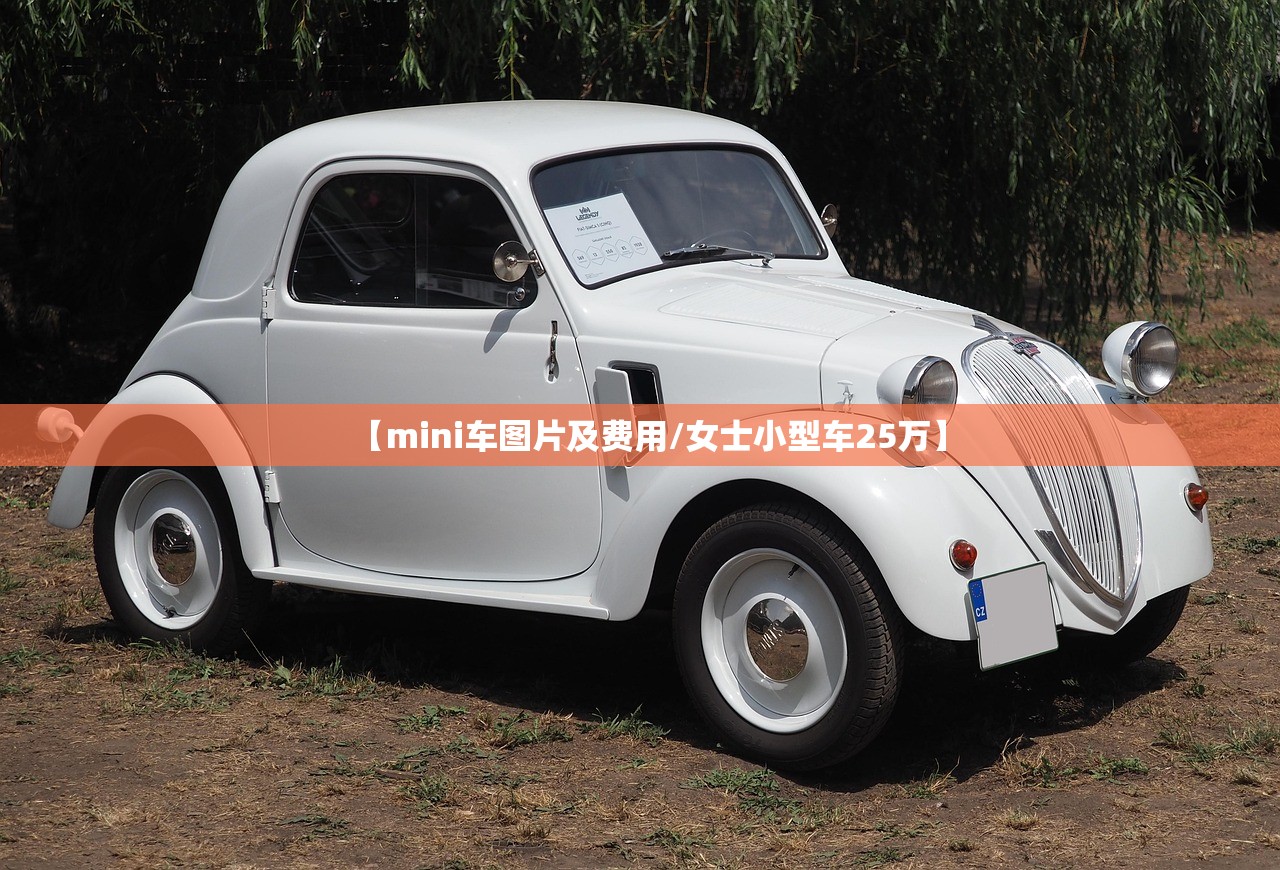 【mini车图片及费用/女士小型车25万】