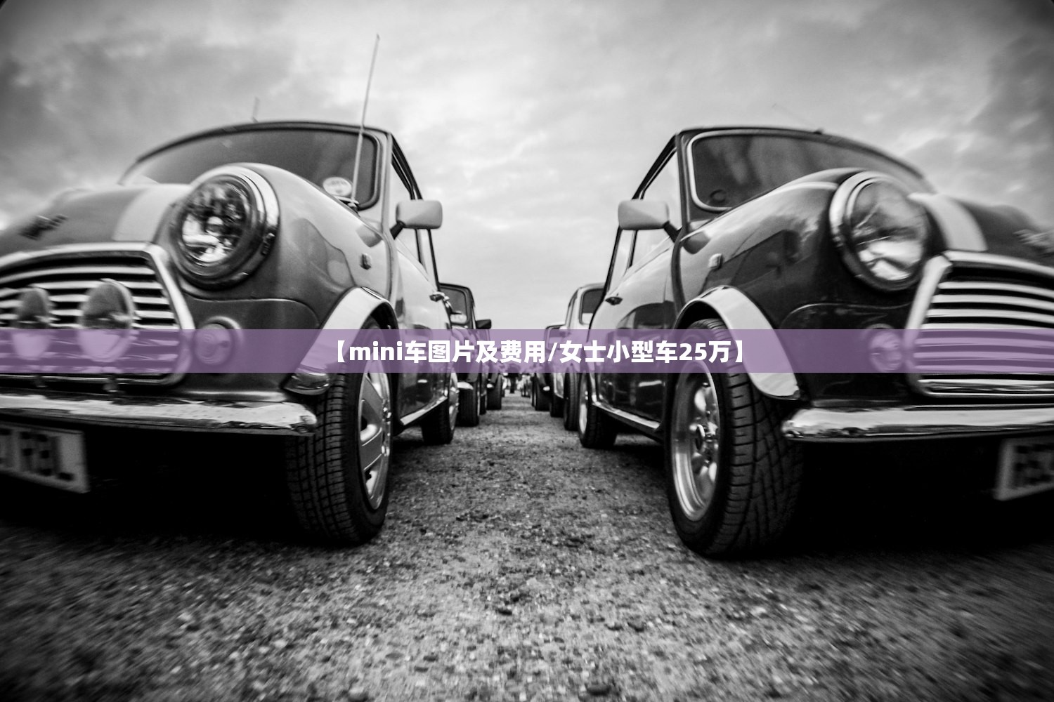 【mini车图片及费用/女士小型车25万】