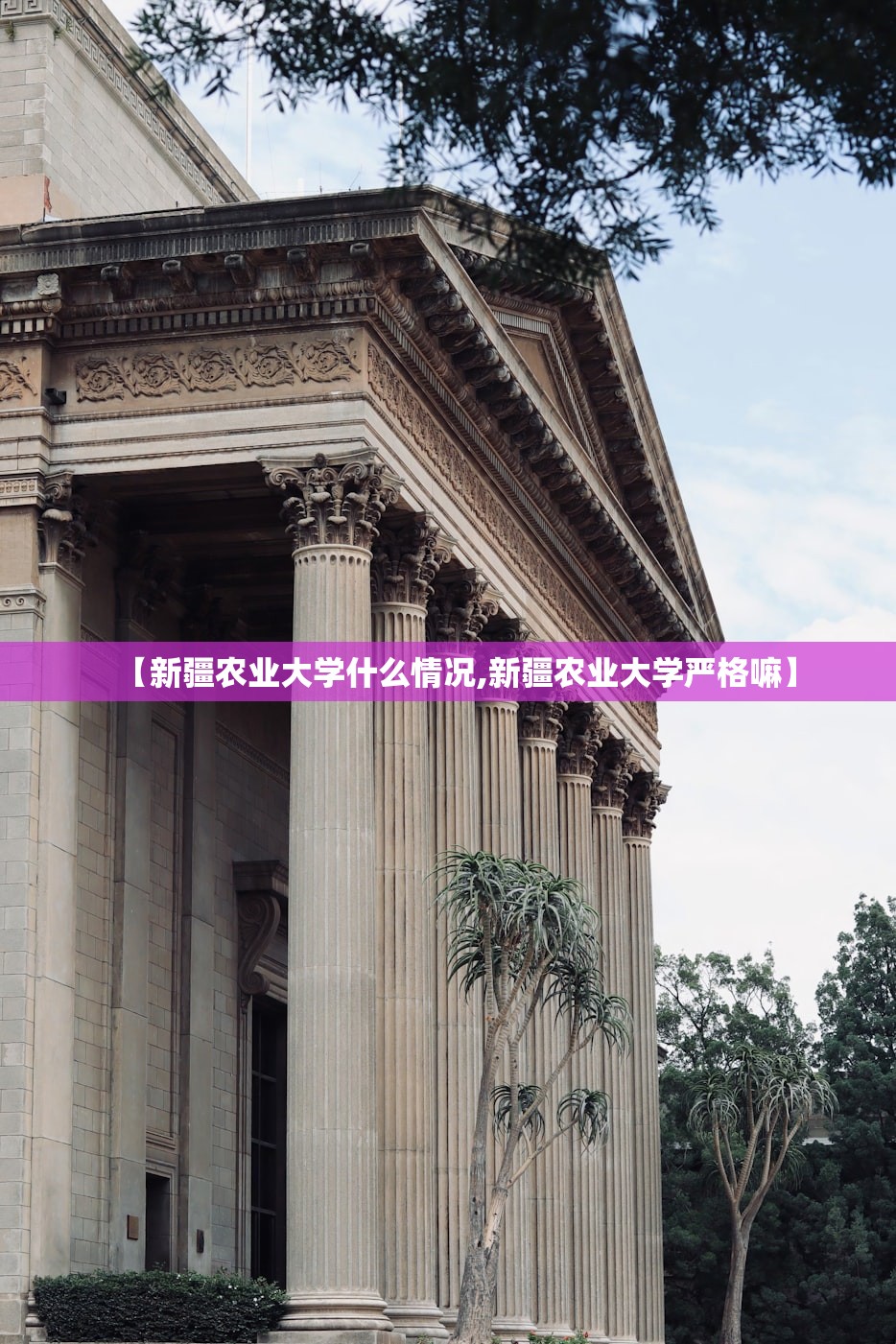 【新疆农业大学什么情况,新疆农业大学严格嘛】