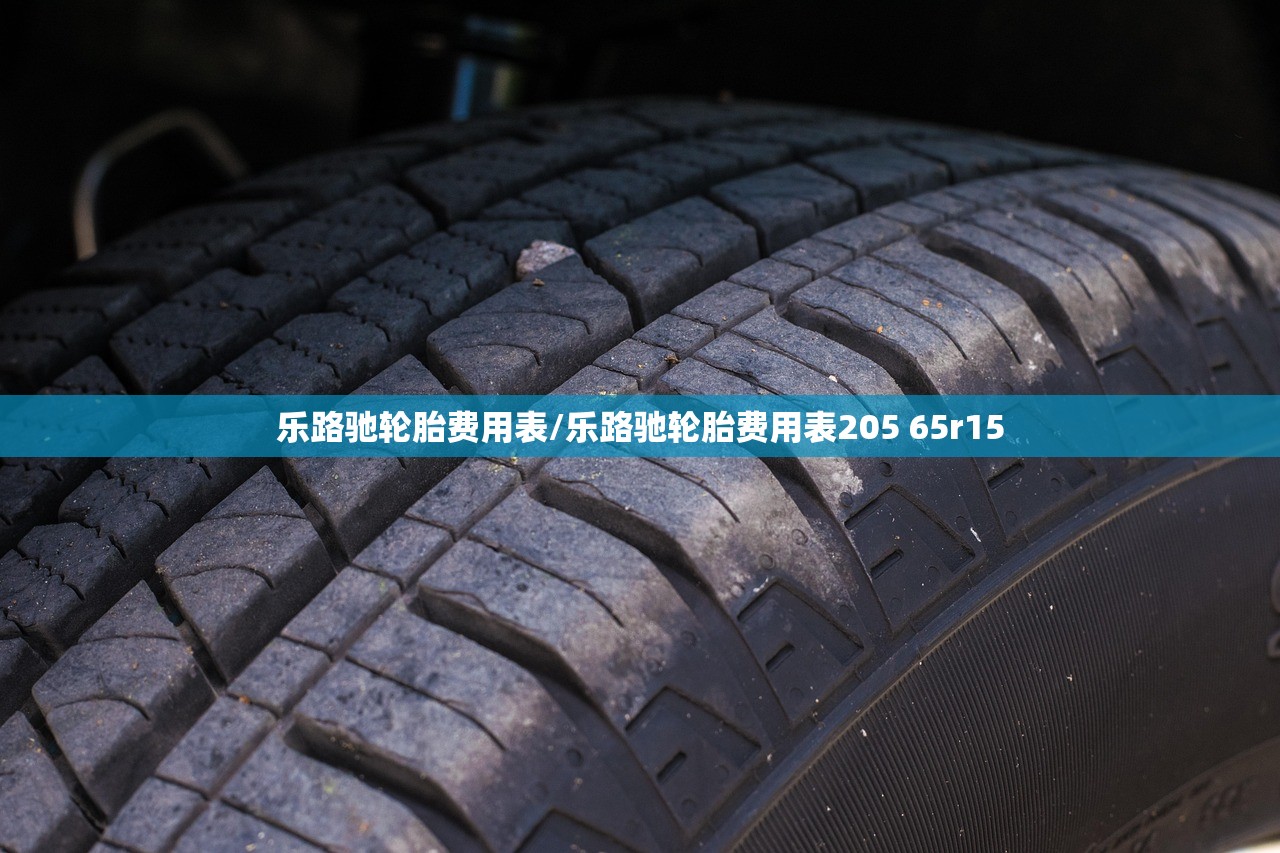 乐路驰轮胎费用表/乐路驰轮胎费用表205 65r15