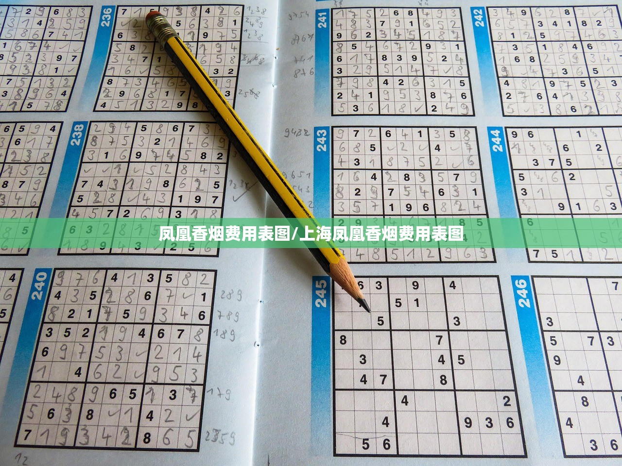 凤凰香烟费用表图/上海凤凰香烟费用表图