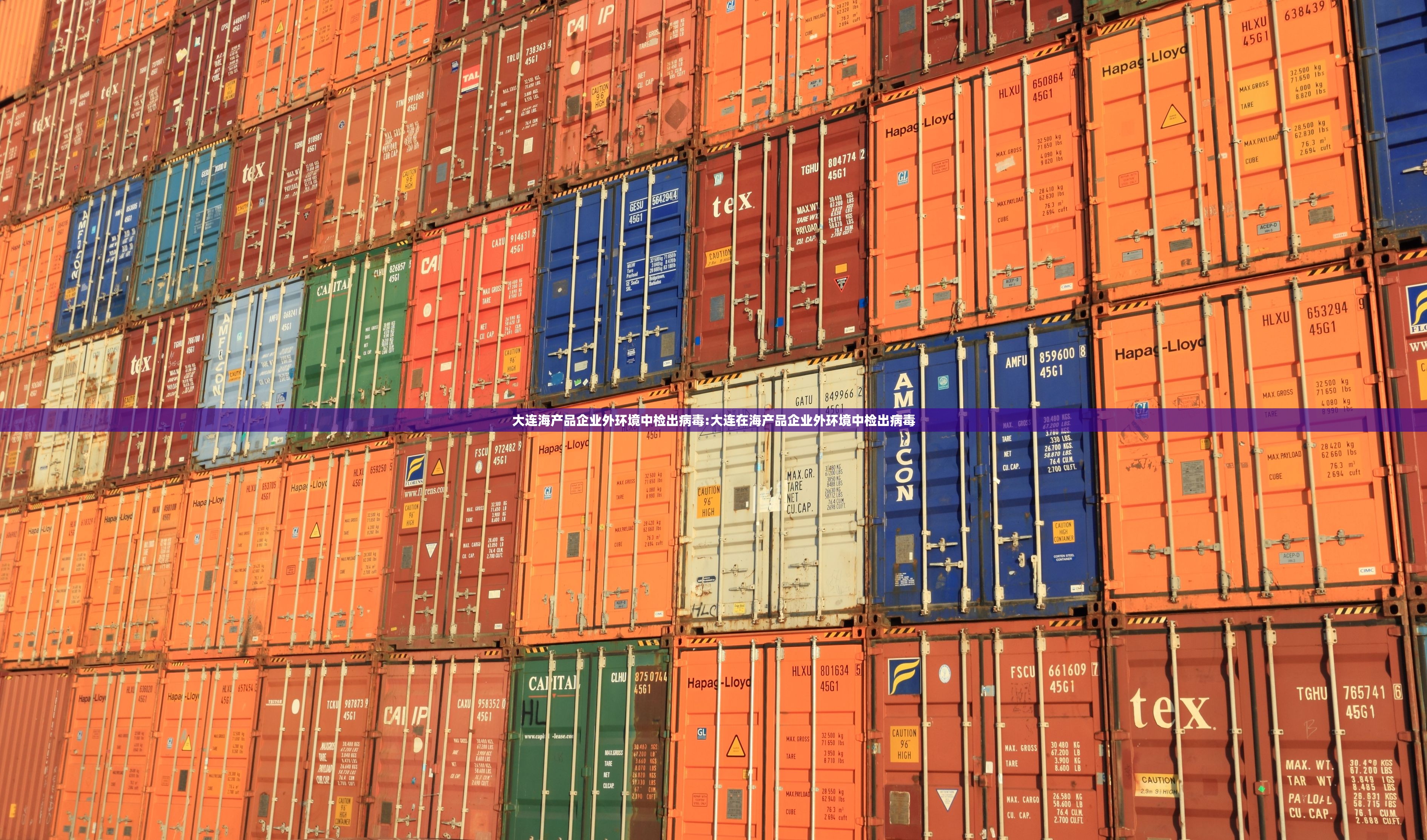 大连海产品企业外环境中检出病毒:大连在海产品企业外环境中检出病毒