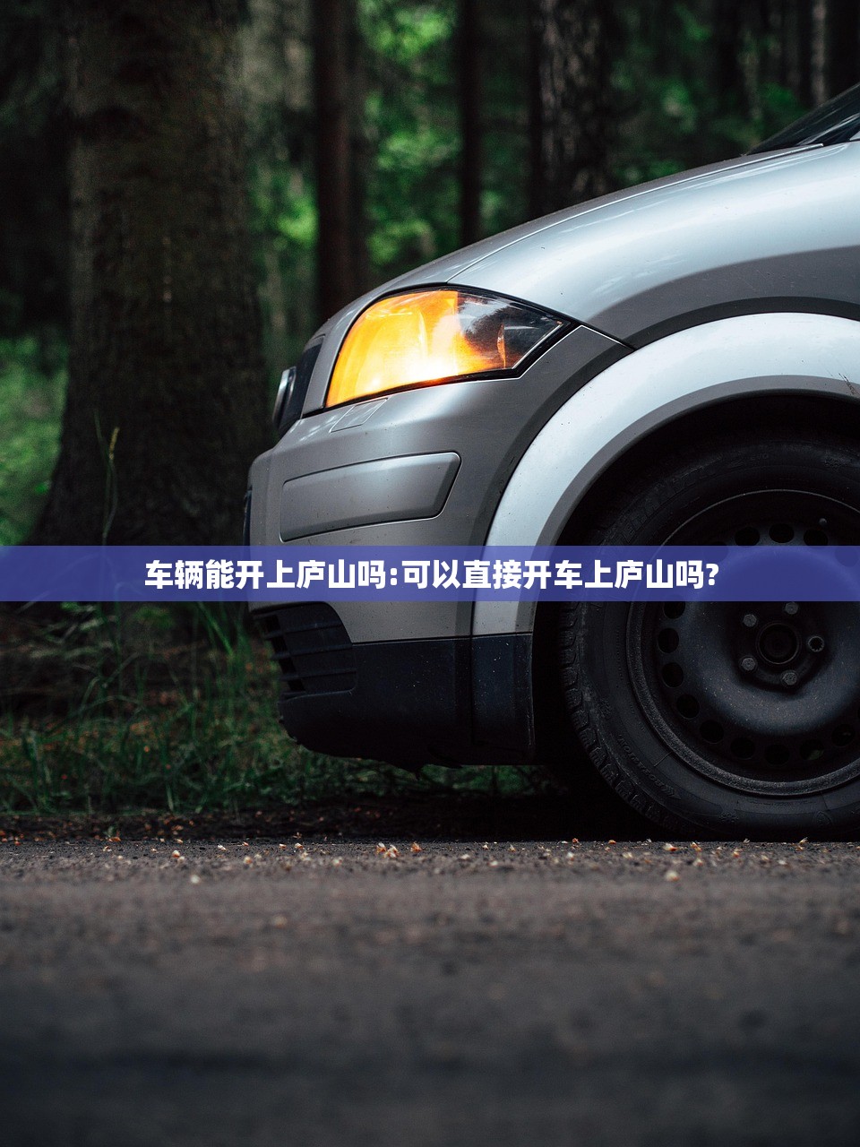 车辆能开上庐山吗:可以直接开车上庐山吗? 车辆能开上庐山吗:可以直接开车上庐山吗?