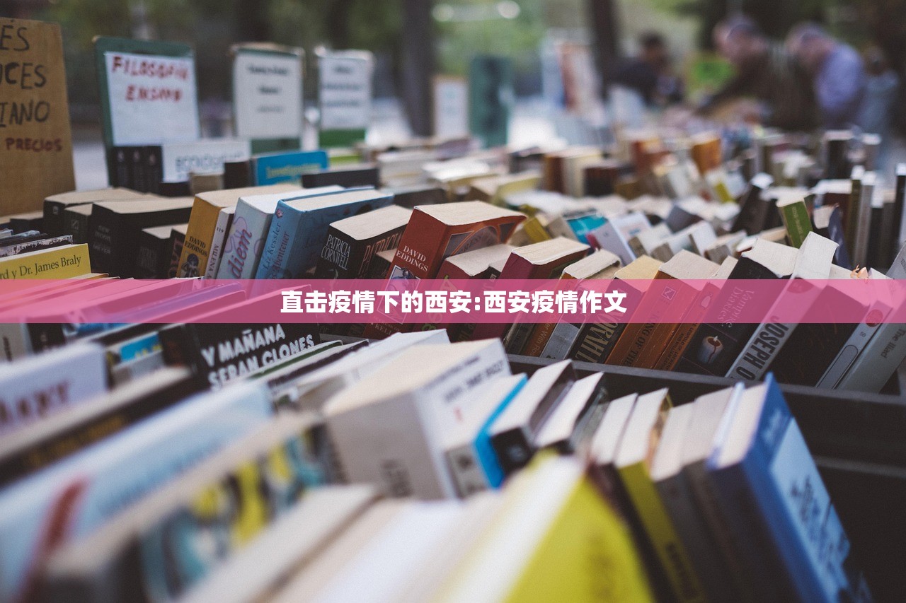 直击疫情下的西安:西安疫情作文