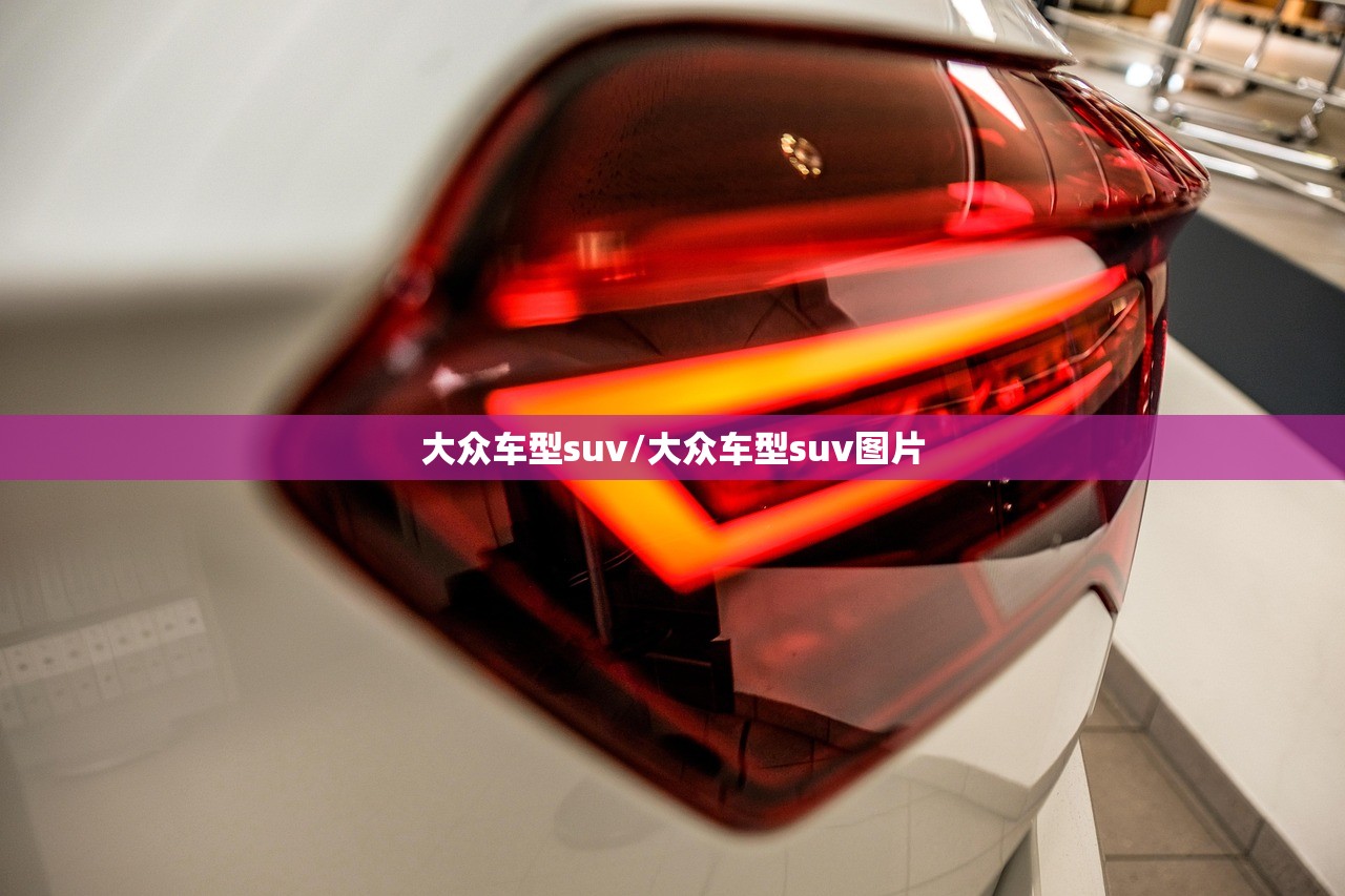 大众车型suv/大众车型suv图片 大众车型suv/大众车型suv图片