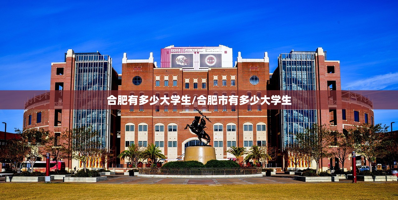 合肥有多少大学生/合肥市有多少大学生