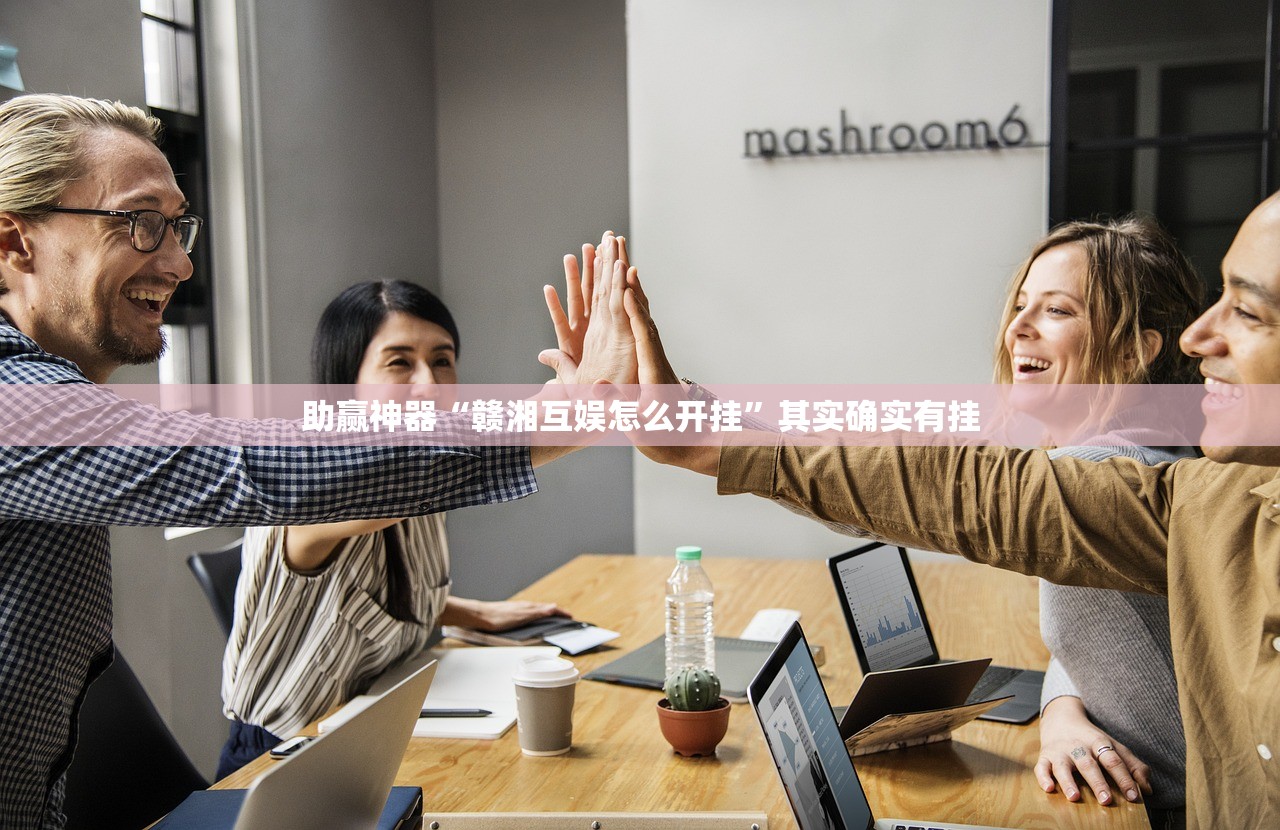 摇号查询（摇号查询入口官方网站）