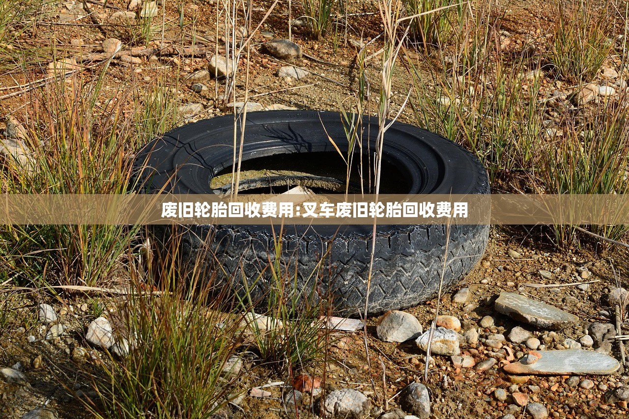 废旧轮胎回收费用:叉车废旧轮胎回收费用 废旧轮胎回收费用:叉车废旧轮胎回收费用