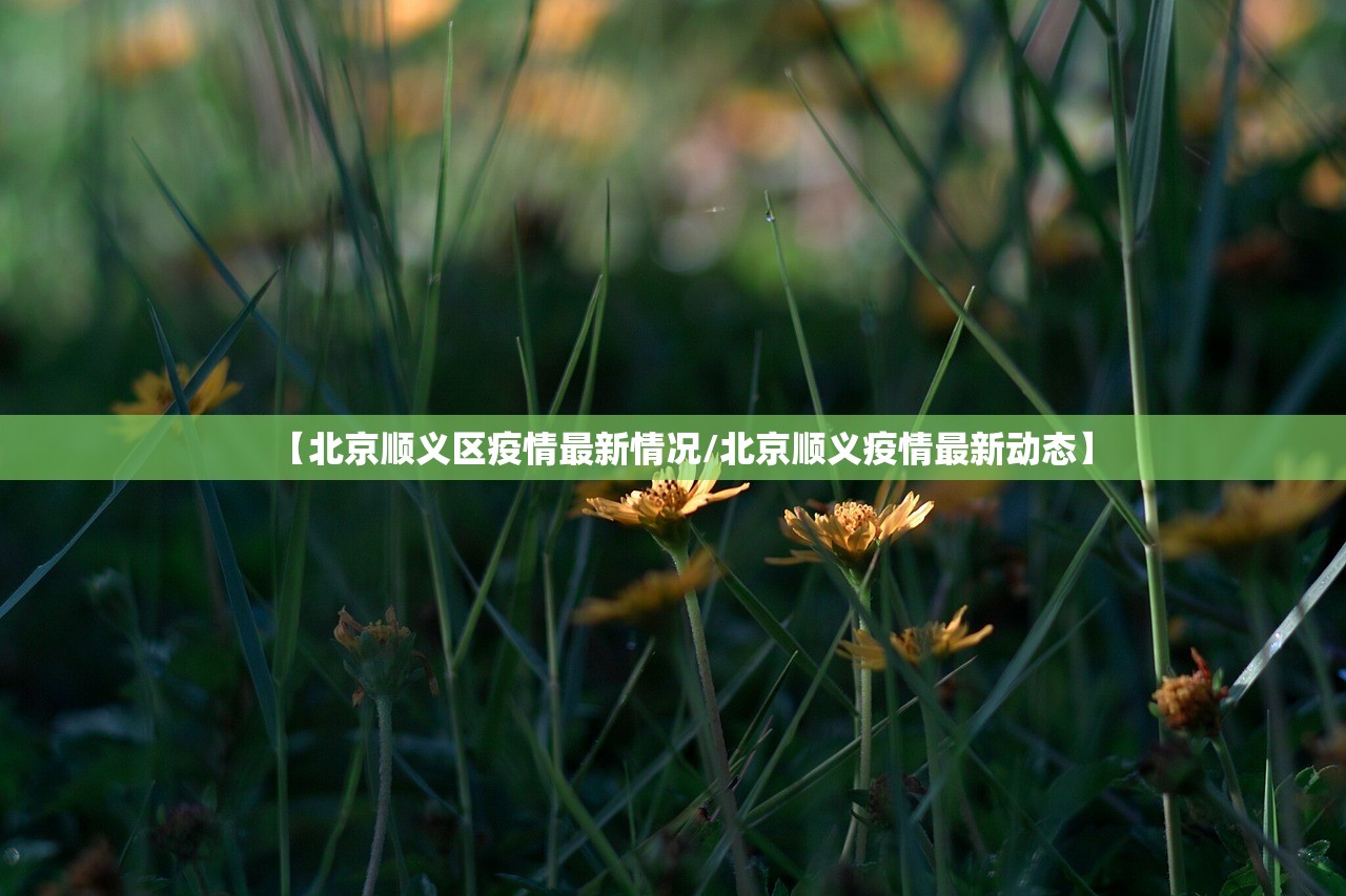 【北京顺义区疫情最新情况/北京顺义疫情最新动态】 【北京顺义区疫情最新情况/北京顺义疫情最新动态】
