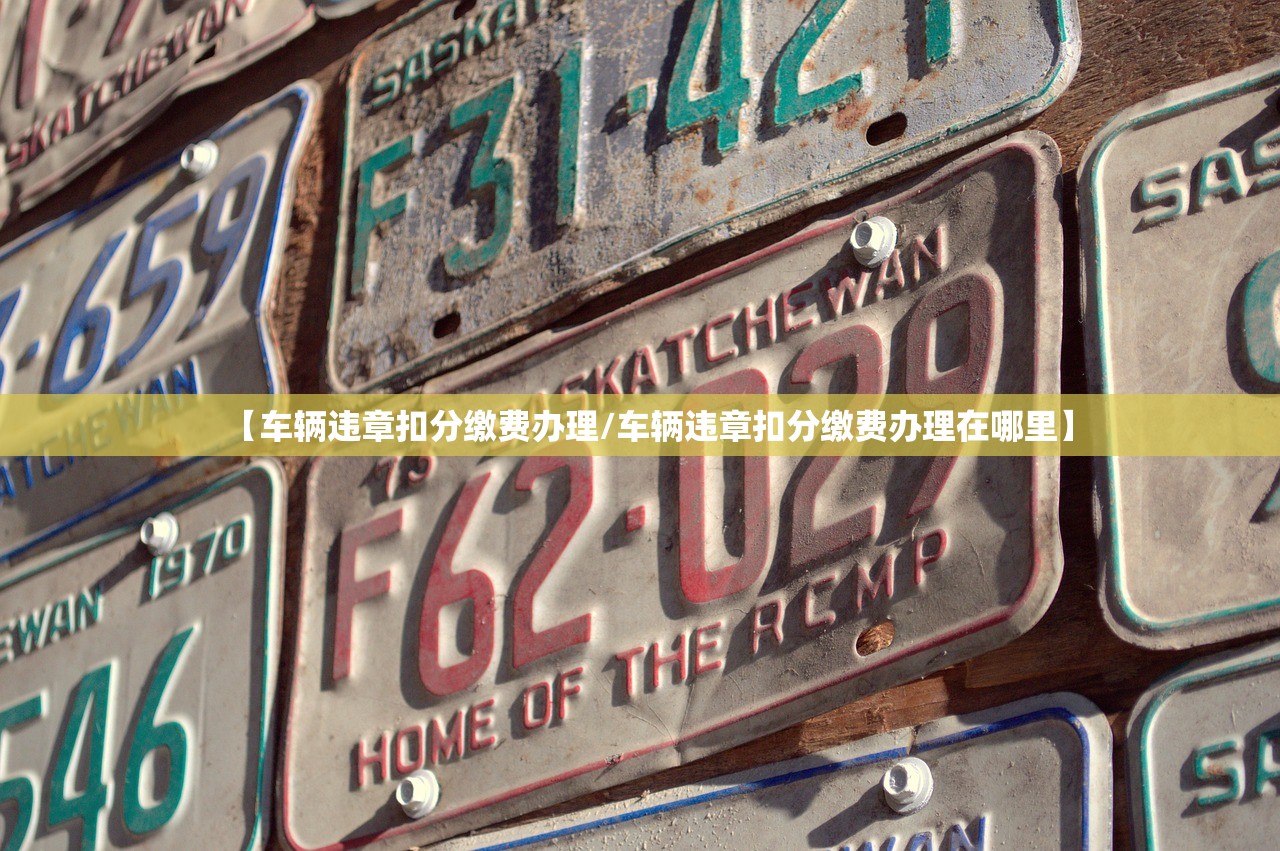 【车辆违章扣分缴费办理/车辆违章扣分缴费办理在哪里】 【车辆违章扣分缴费办理/车辆违章扣分缴费办理在哪里】